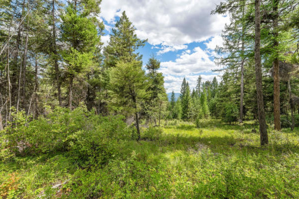 NHN COPPER ROAD, KALISPELL, MT 59901, photo 5 of 34