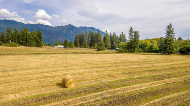 34 SONGBIRD COURT # LOT 6, COLUMBIA FALLS, MT 59912, photo 2 of 12