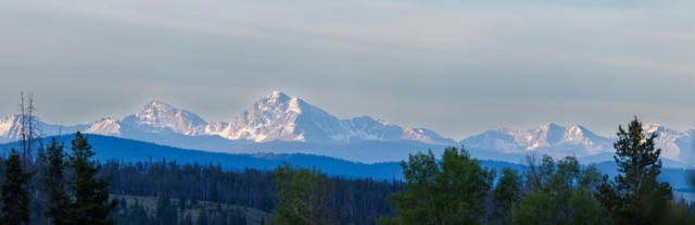 983 WILLOW CREEK RD, PHILIPSBURG, MT 59858, photo 4 of 71